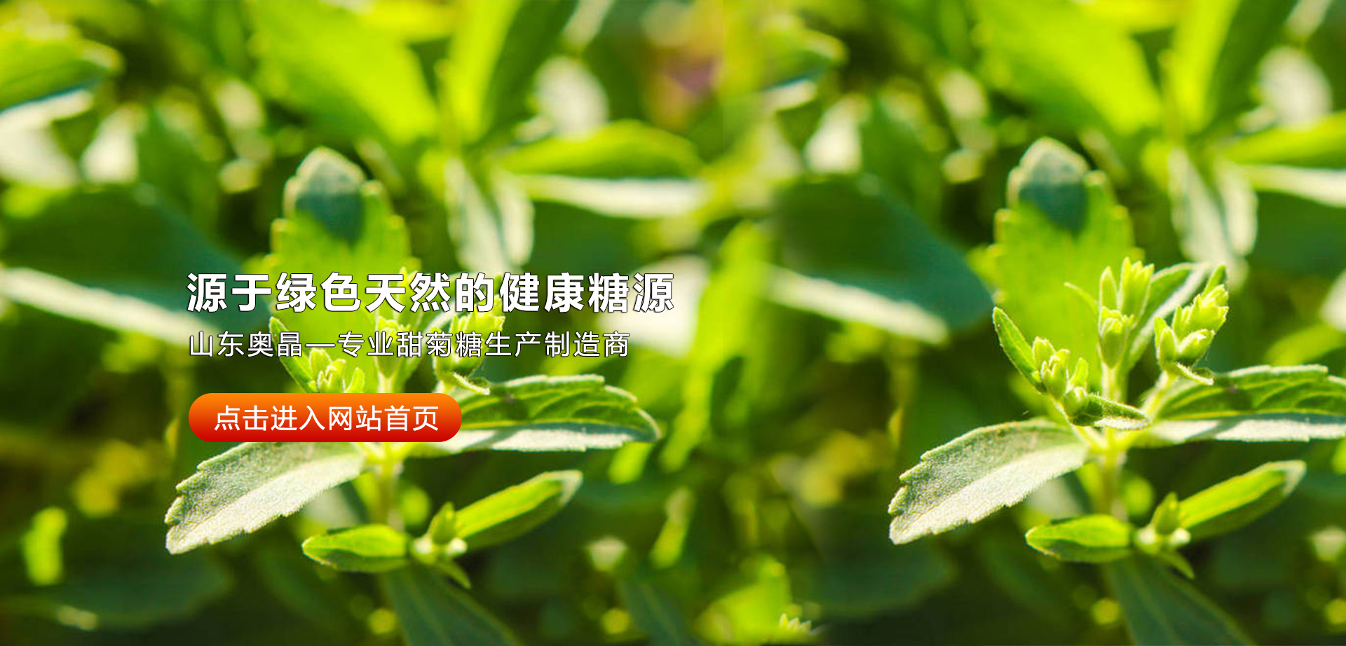 山东奥晶生物科技有限公司